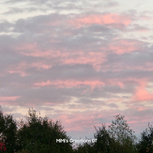 Hello🥰 I am Dody/ MiMi😍 - Picture 16 of 16